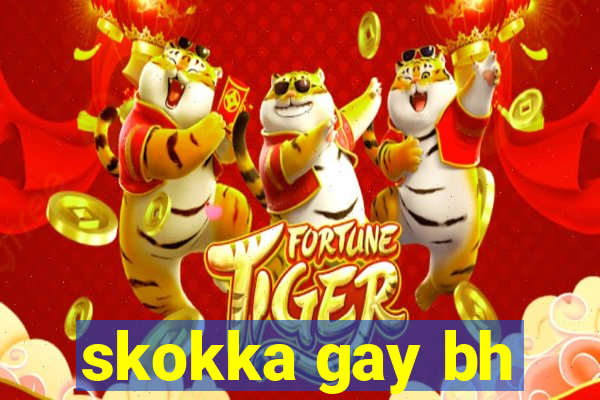 skokka gay bh